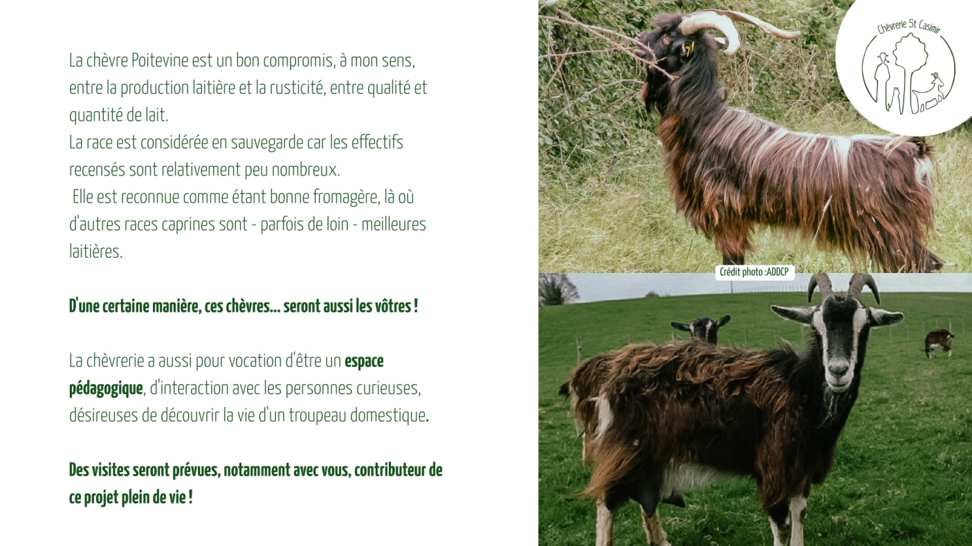CAMPAGNE LOUIS RUYANT VF 7